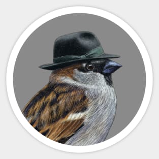 House sparrow Sticker